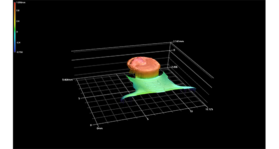 3D������